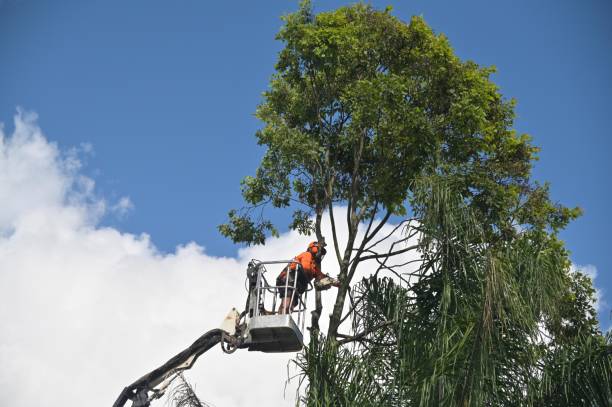 Best Landscape Design and Installation  in Keansburg, NJ